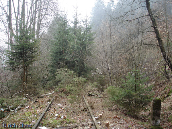 Geschuftet hat die Wiehltalbahn-Rotte allerorten, aber zeigen lassen sich die 2.500 ehrenamtlichen Arbeitsstunden am Besten mit Bildern von der Strecke Hermesdorf - Morsbach. So sah es hier noch im Dezember 2008 aus.